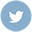 Twitter icon